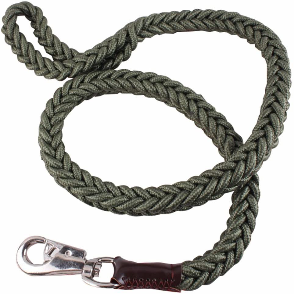 Nylon Braided Rope Pet Dog Leash for Medium Dog or Large Dog. 