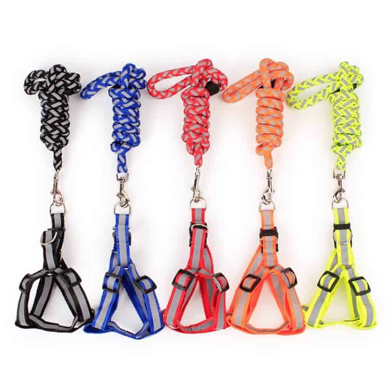 Nylon Reflective Dog Harness and Leash Large Daraz.lk