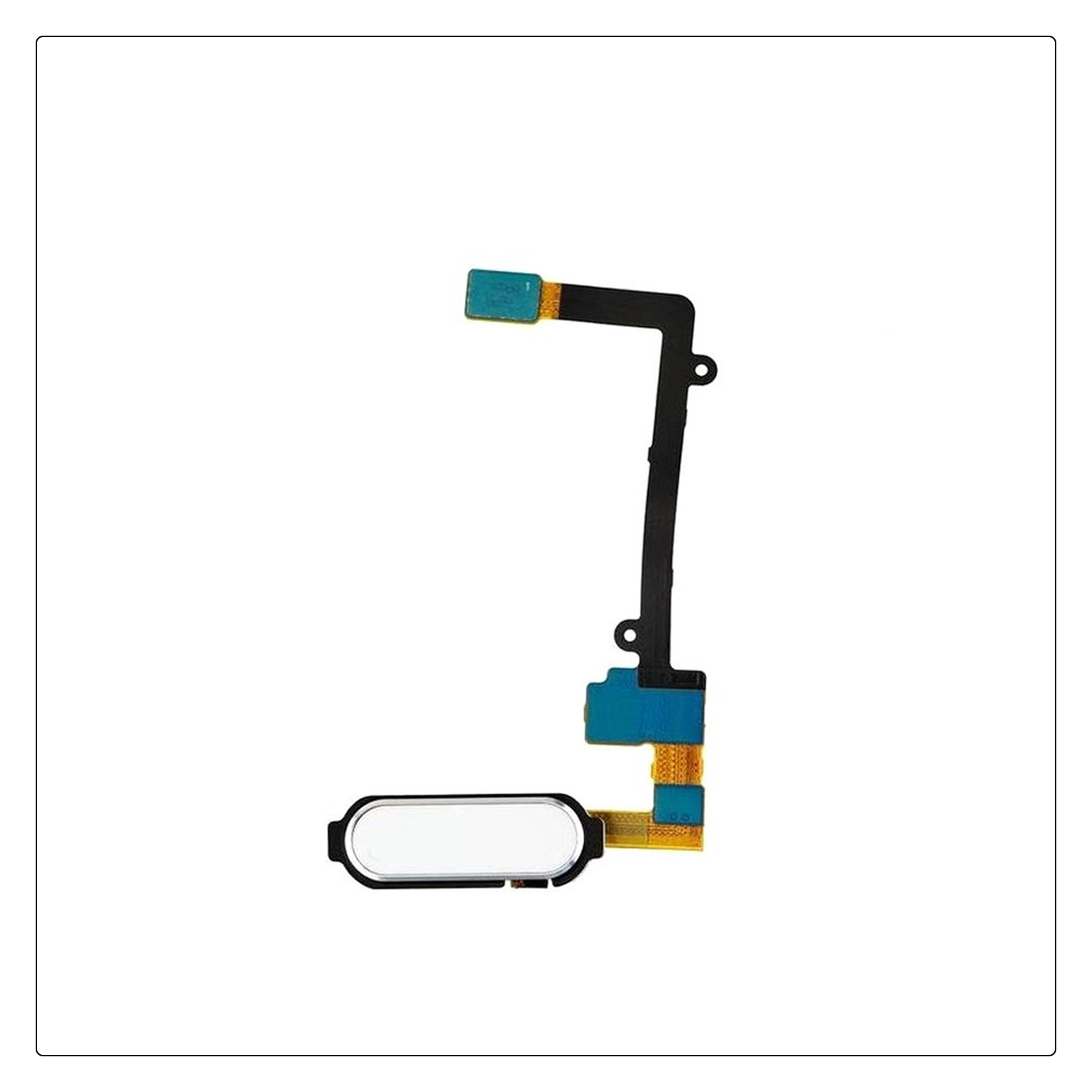 Samsung Galaxy S6 Edge Home Button Flex Blue Gold. 