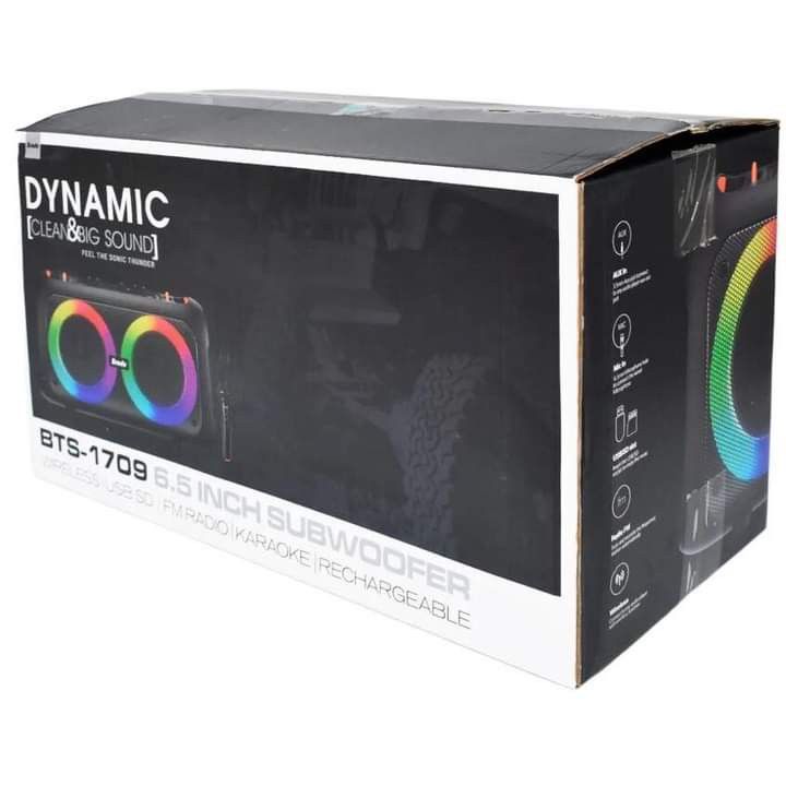 BTS - 1709 DYNAMIC Clean & Big Sound Party Box  Outdoor With Wireless Mic. 