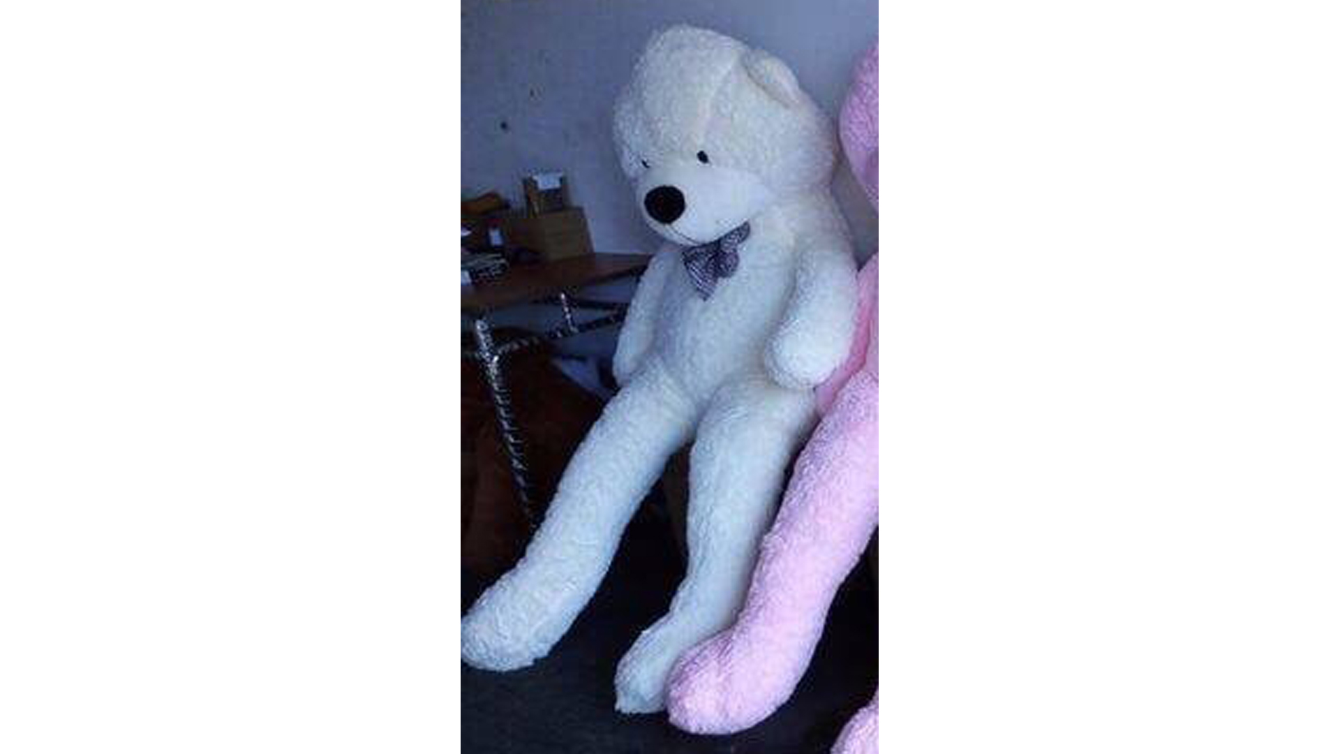 5.5 feet teddy bear