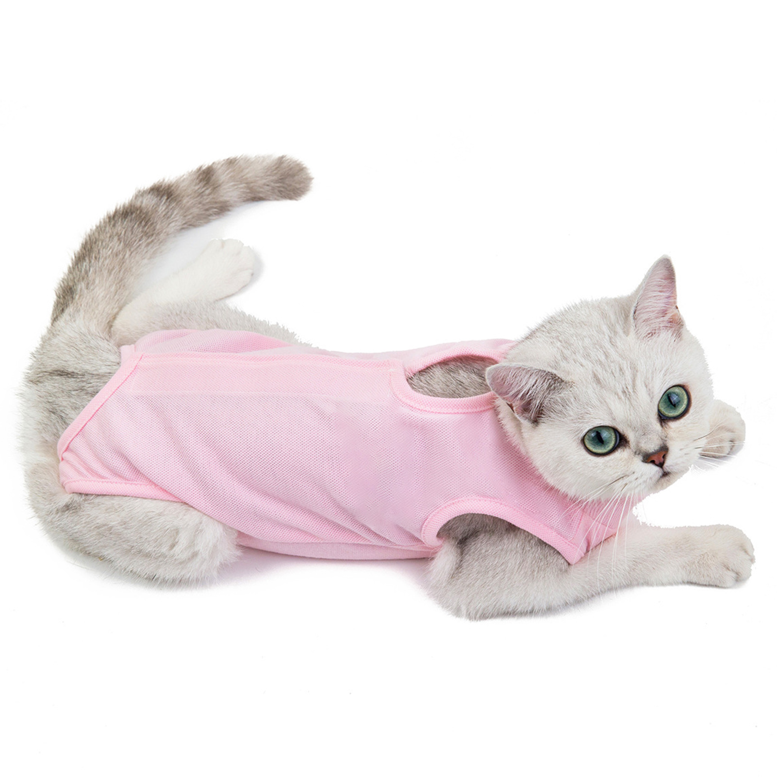 Kitten Sterilization Vest Cat Clothes Anti-licking Weaning Romper Pet Supplies. 