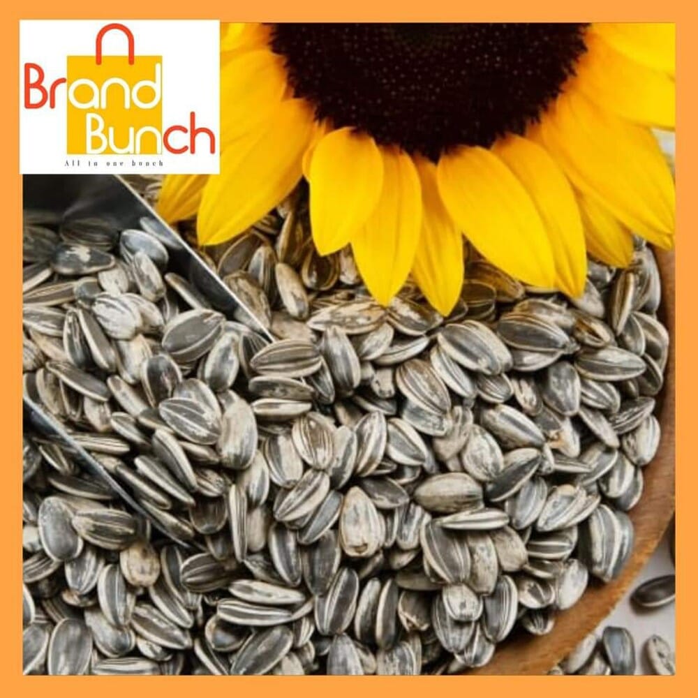Sunflower Seeds In Sri Lanka Best Flower Site