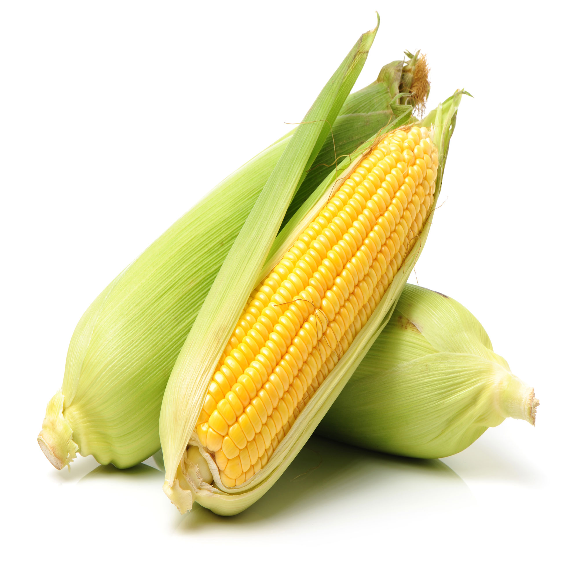 Maize, Bada Iringu F1 Hybrid, 25 Seeds Pack. 