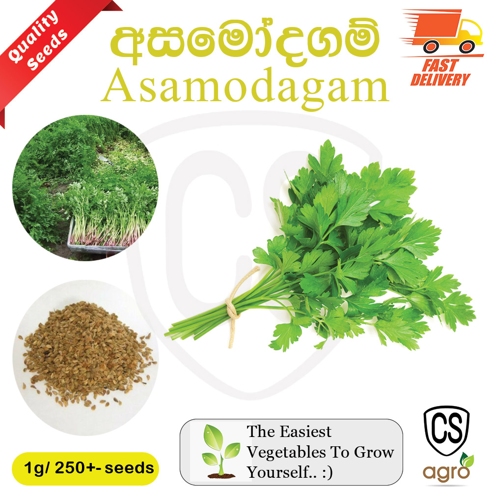 Asamodagam Seeds Gardening Agriculture Home plant seed Asamodagam Seeds
