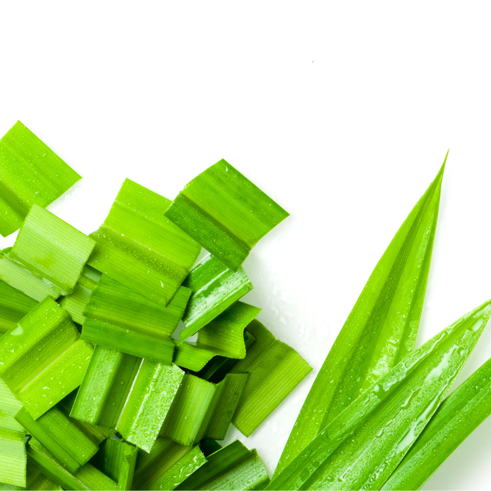 MENNA PRODUCTS Dried Pandan Leaves Powder 100g - Natural Aroma Enhancer. 