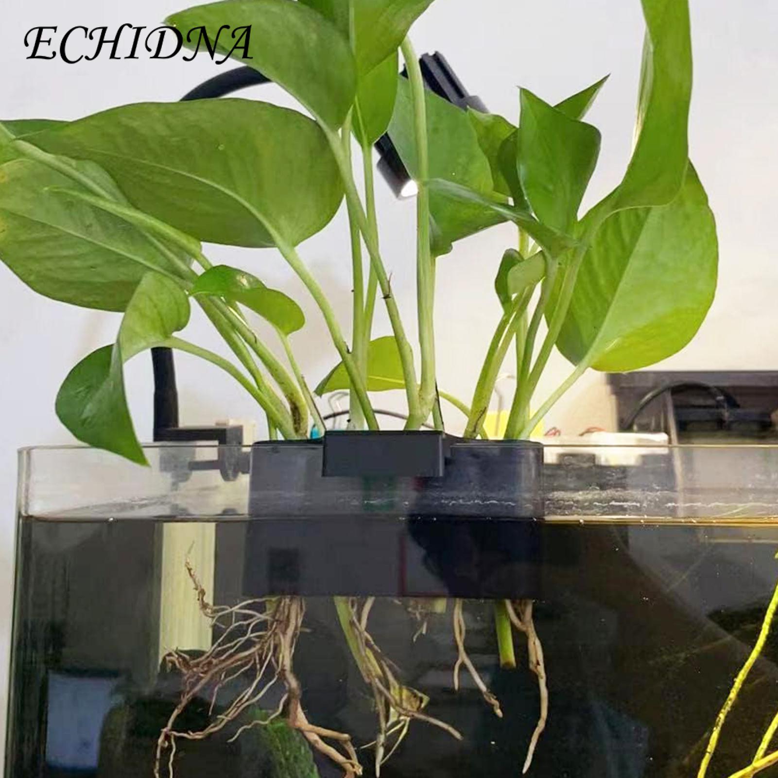Hydroponic System for Aquarium Plants 5-hole Hydroponic Storage Rack for Aquaponic Cultivation Ideal Fish Tank Plant Supports Aquascape Decorations Hydroponic Storage Rack for Fish Tank. 