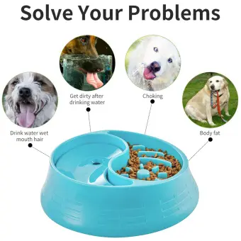 large dog water bowl