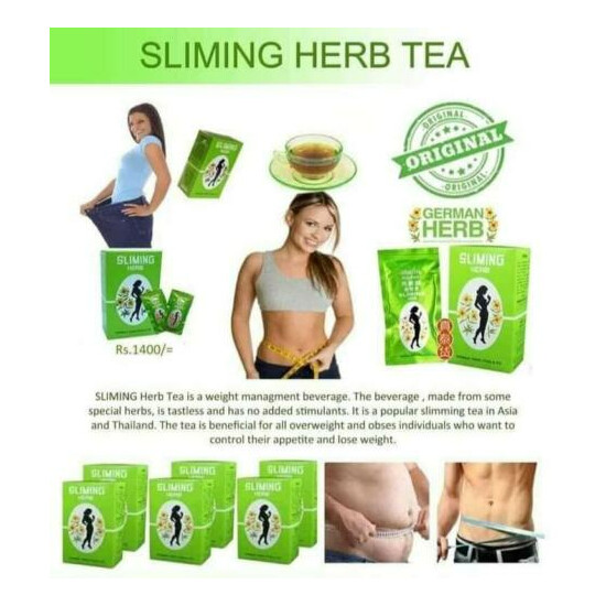 Slimming Herb Pure Green Tea - Fat Burner Natural Green Tea 50 Tea Bags ...