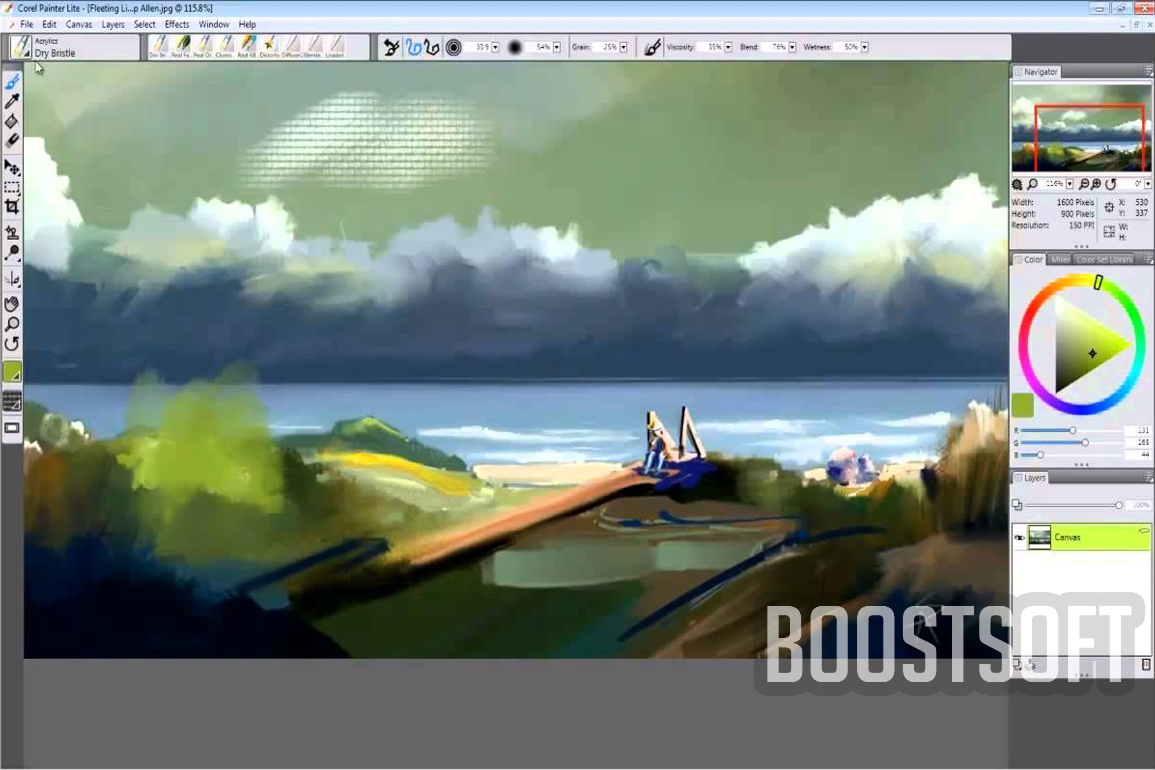 Corel_Painter X3_Windows with life time licenses key and no 1 packing quality. 