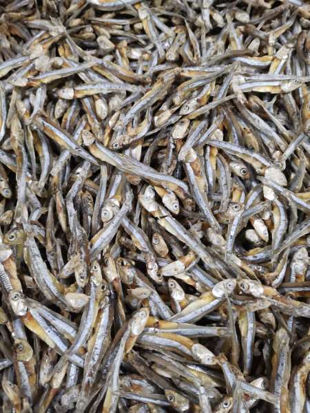 dry fish,  250g