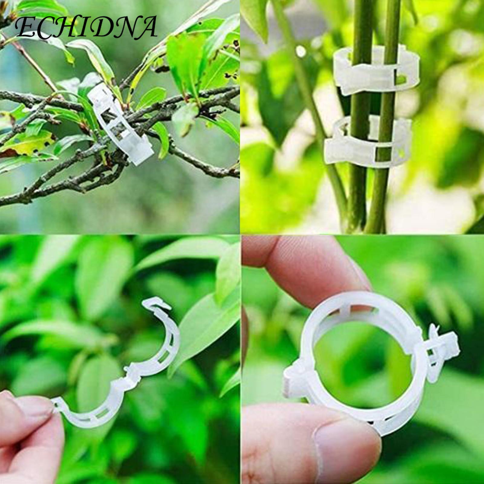 Cucumber Plant Clips 100/200pcs Plant Support Clips for Easy Tomato Vine Fastening Wide Application Garden Clips for Tomato Plant Clips. 