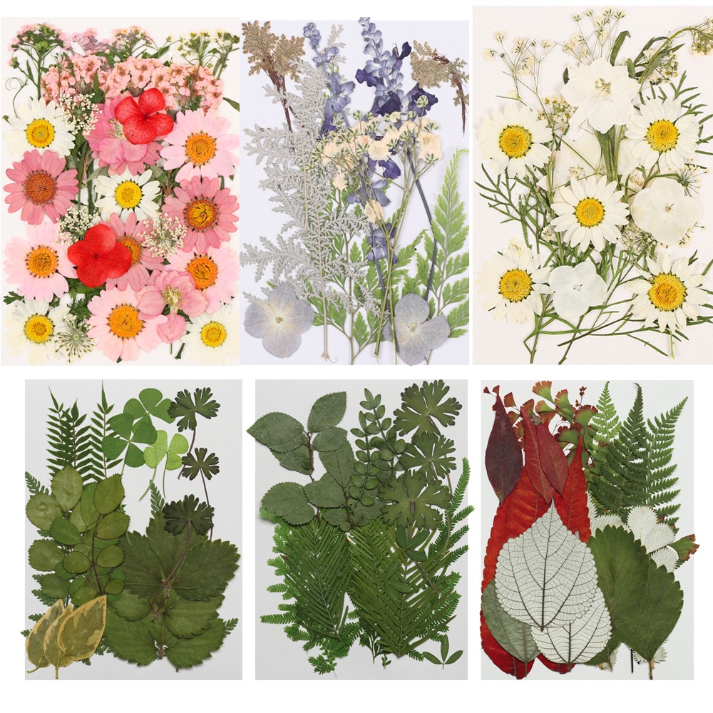 Natural Dry Leaves DIY Decorative Filling Materials Real Dried Pressed Flowers Assorted for Pressed Leaf Resin Mold Art Craft