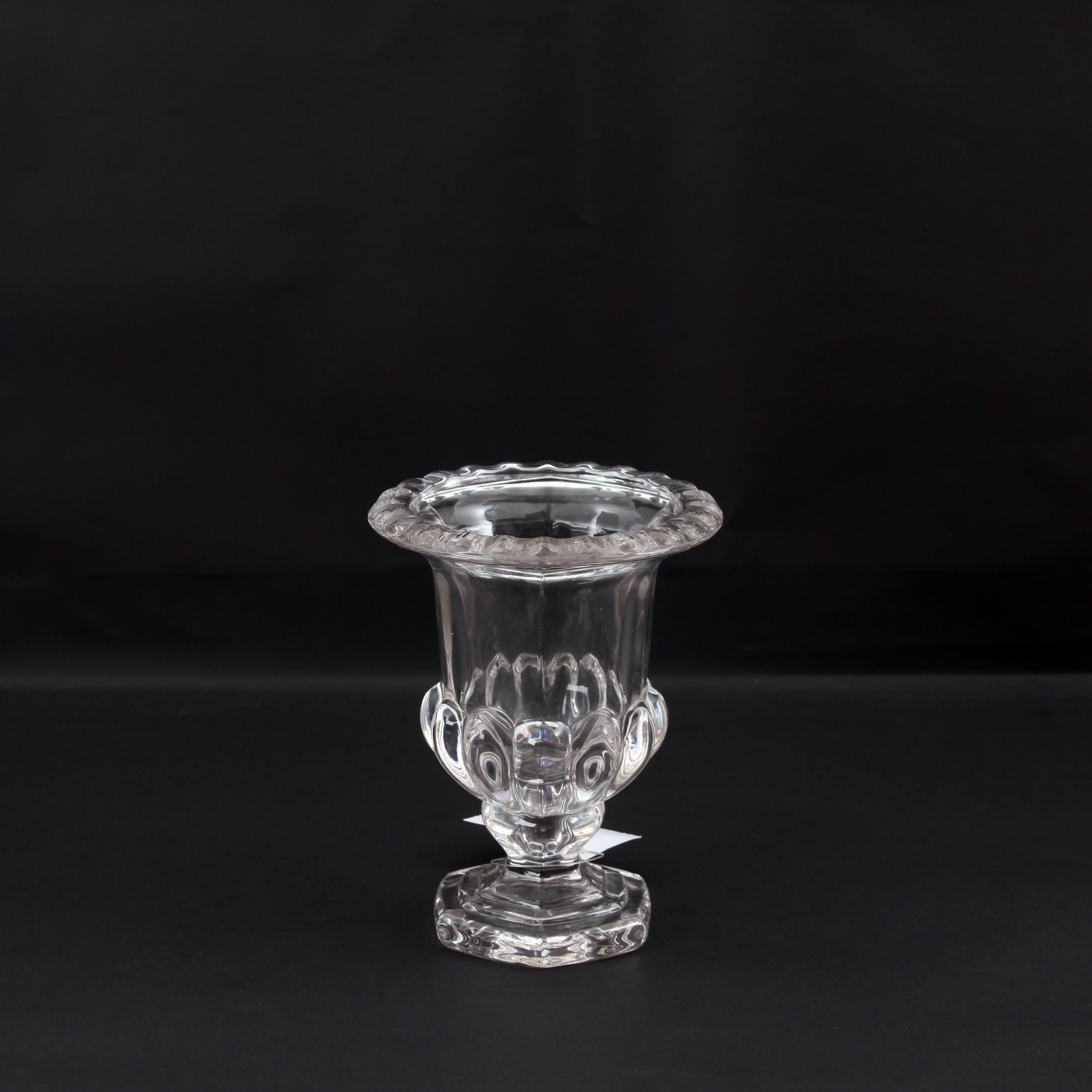 Hydrophonic Glass Vase Daraz.lk