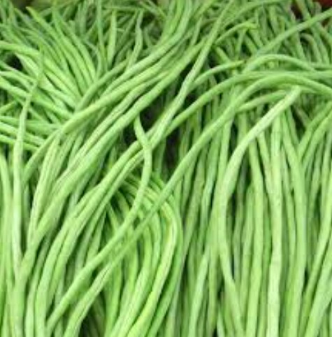 Hawari Me Karal/Hawari Long Beans (Green) Seeds For Home Garden. 