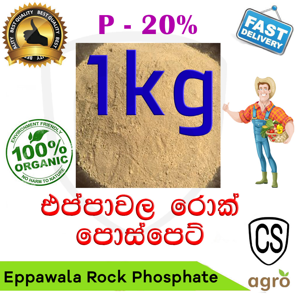 Rock deals phosphate price