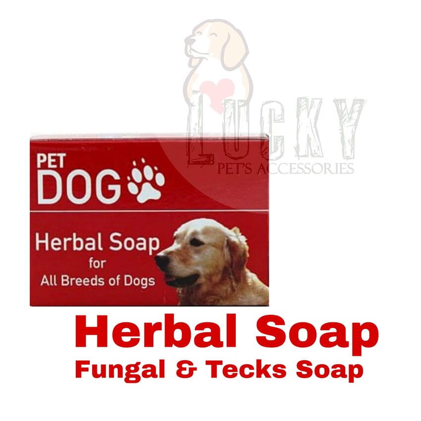 Which Soap Is Best For Dogs