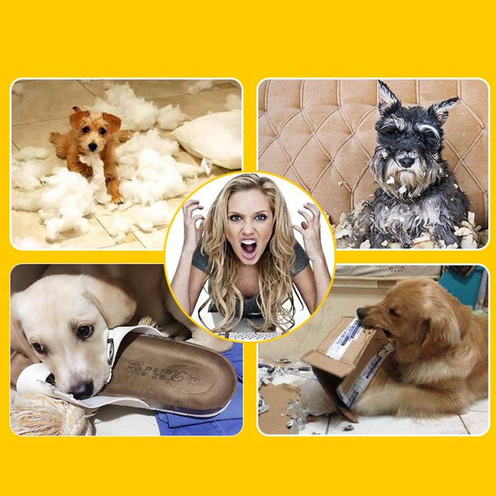 Rubber Round Ring Dog Toy Molar Teeth Bite Resistant Chew Toy for Pet Puppy Training Pet Circular Supplies Health Care Dog Toys Interactive Play Dogs Sell Pets Circle Tire Toy Tyre Toy Rubber Puppy Toy Play Toy Rubber Pet Toy Bite Toy Dental Toy. 