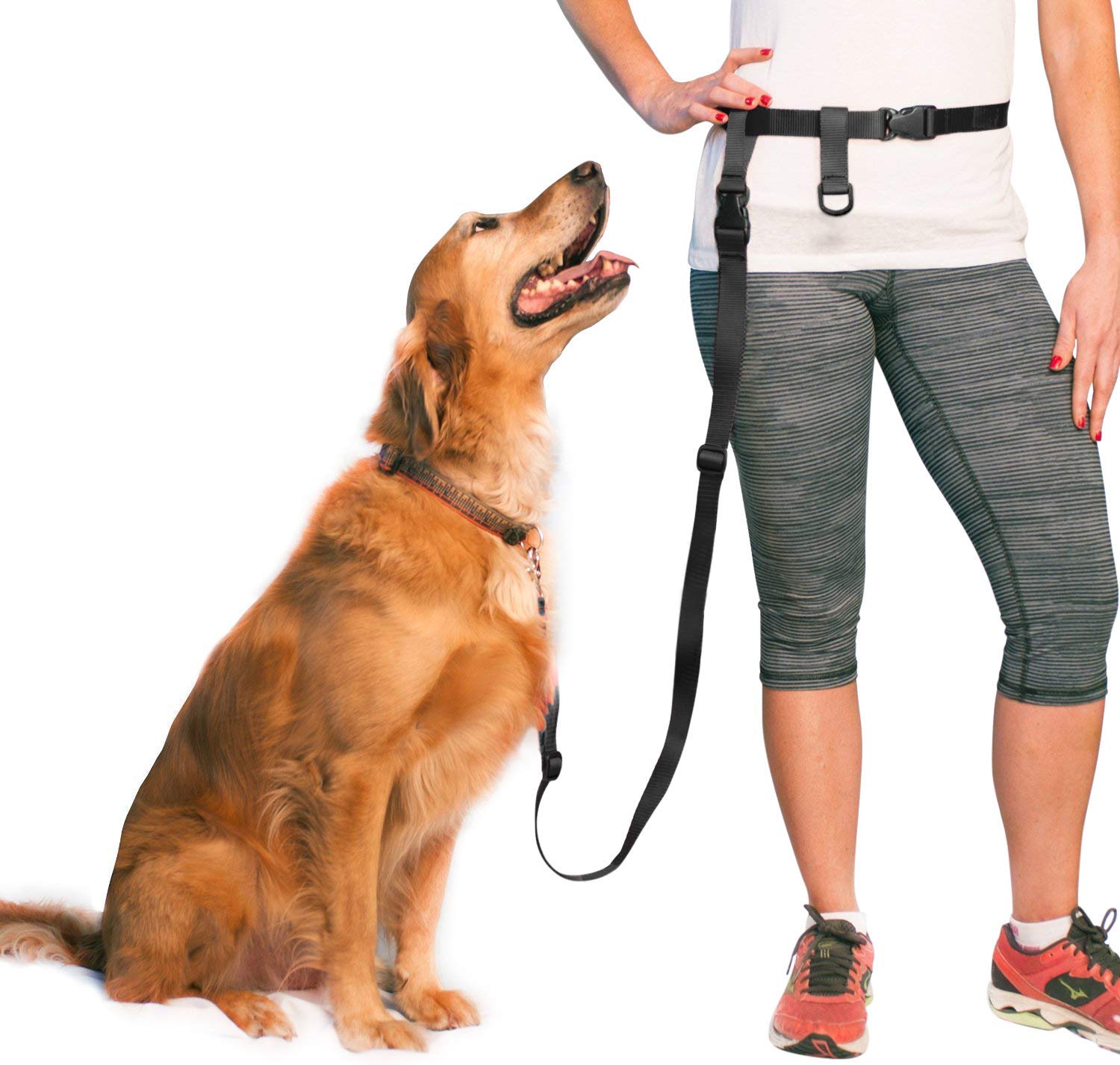 Running Pet Dog Leash Lead Waist Belt 
