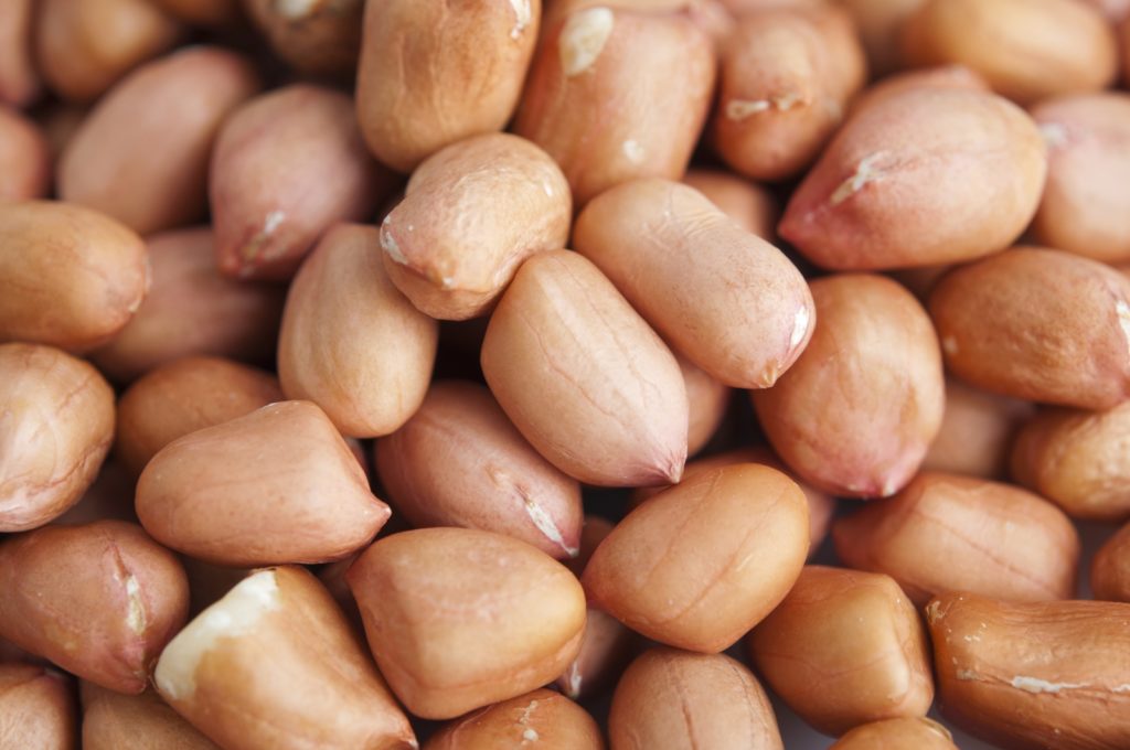 High Quality, Dried, Raw Peanut, 500g