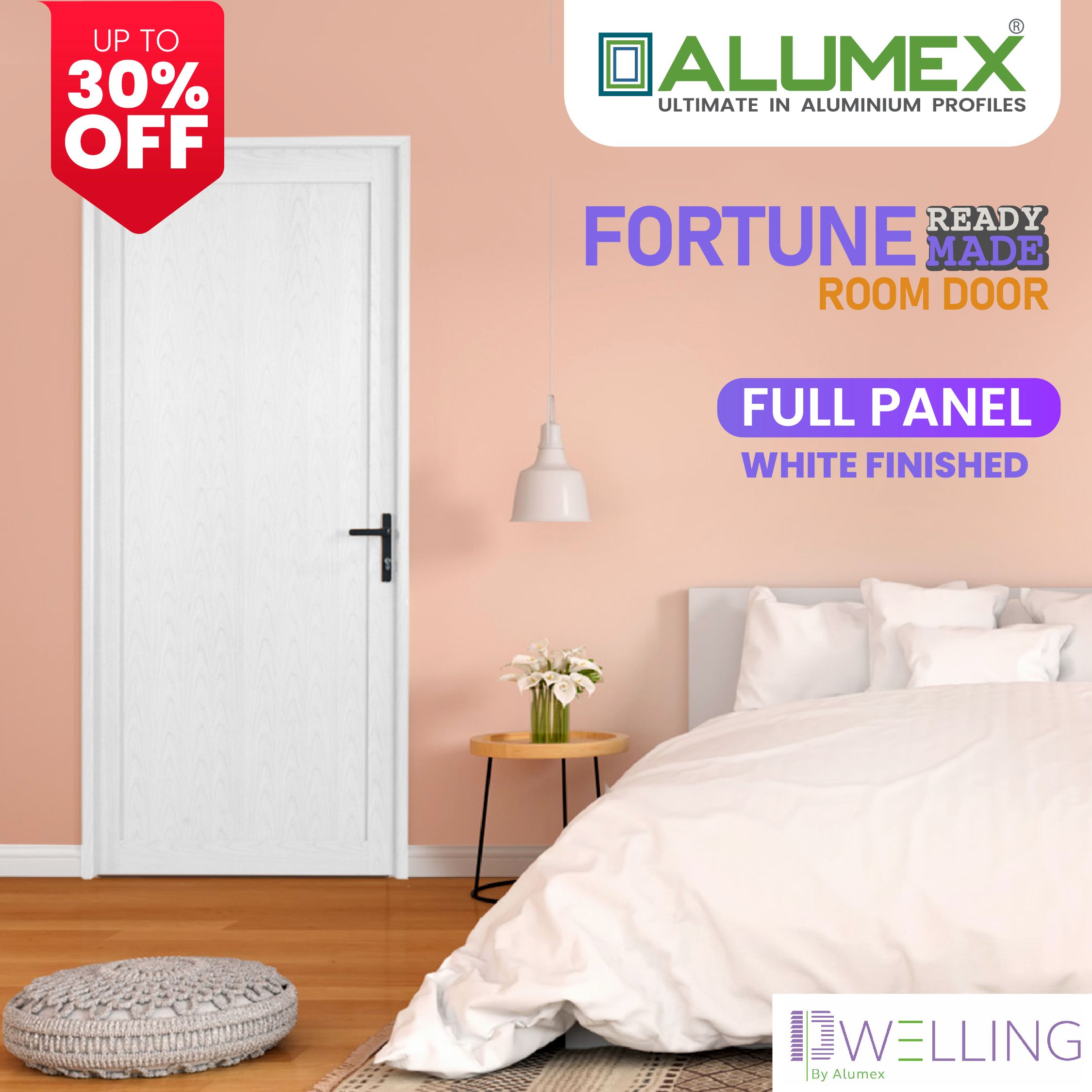Fortune Room Door - Full Panel