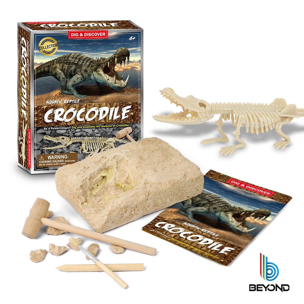 fossil kit toy