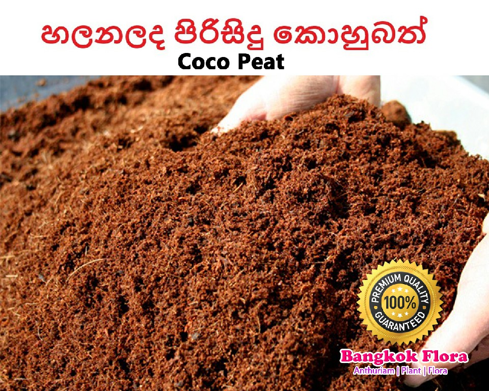 Share 130+ coco peat 25kg bags latest esthdonghoadian