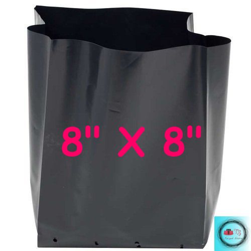 Discover 129+ polysack bags best esthdonghoadian