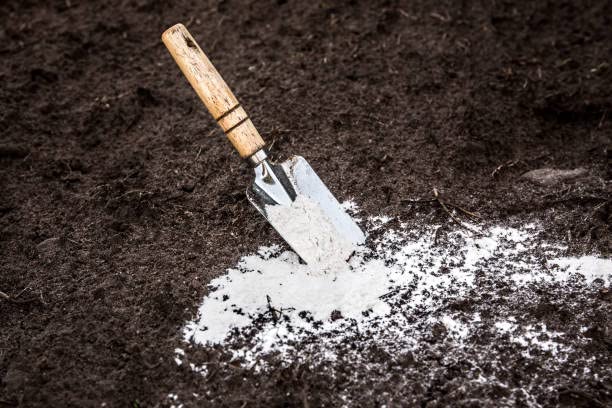 Dolomite 2Kg for Home Garden Fertilizer Coconut. 