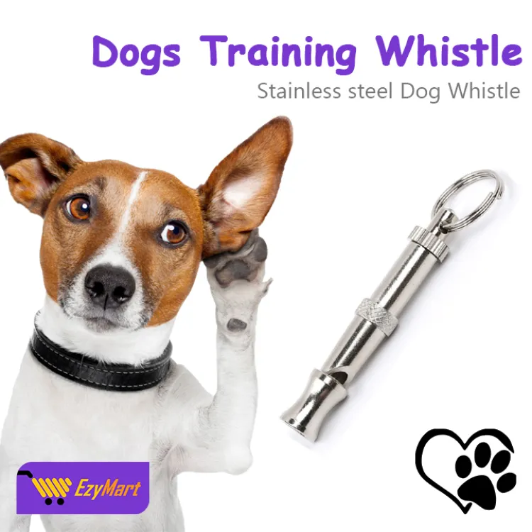 Do Dog Whistles Really Work