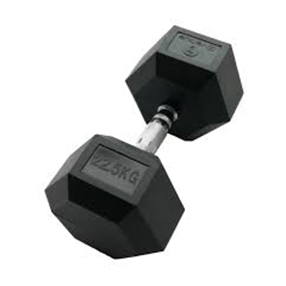 Dumbbell 2025 22.5 kg