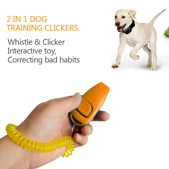Best Dog Training Accessories atelieryuwa.ciao.jp