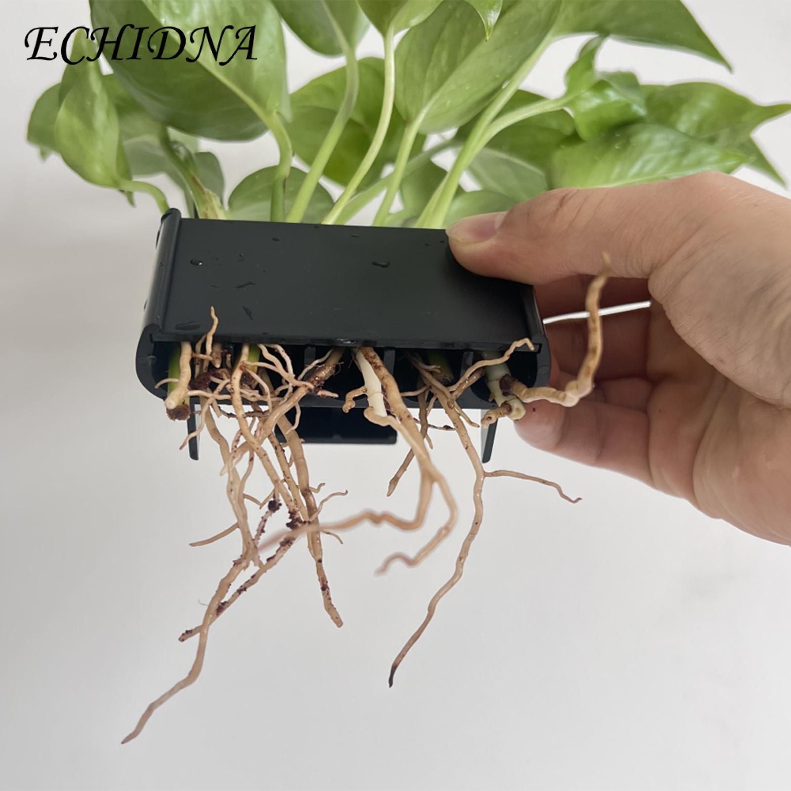 Hydroponic System for Aquarium Plants 5-hole Hydroponic Storage Rack for Aquaponic Cultivation Ideal Fish Tank Plant Supports Aquascape Decorations Hydroponic Storage Rack for Fish Tank. 