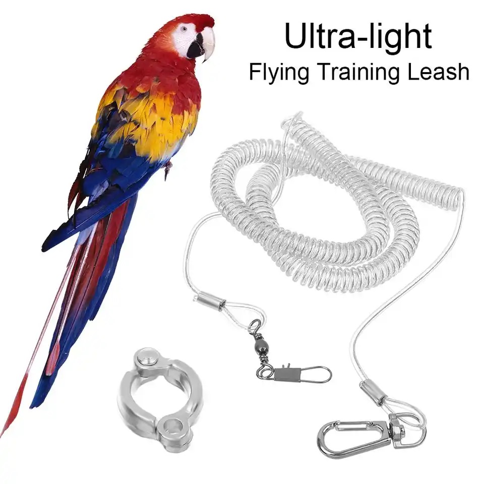 Hot Harness Bird Training Parrot Ultra-light Flexible Rope Anti-bite Leg Parrot Bird Flying Training Leash. 