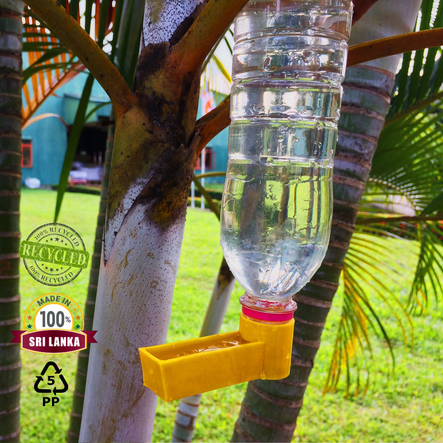 automatic water feeder for birds