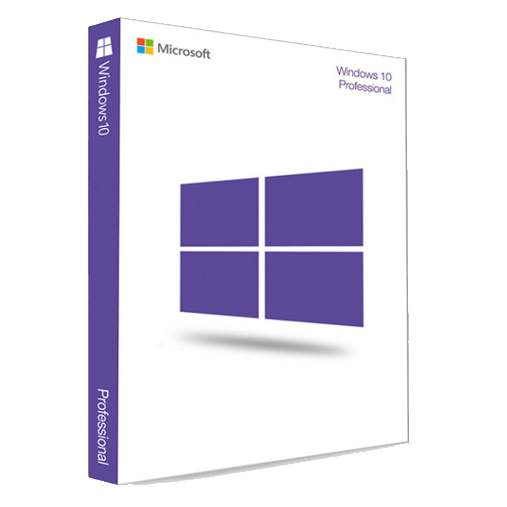 Windows 10 Professional (Pre-Activated) bootable DVD. 