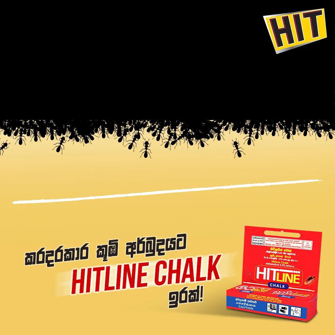 Hit Line Chalk Ant Chalk. 