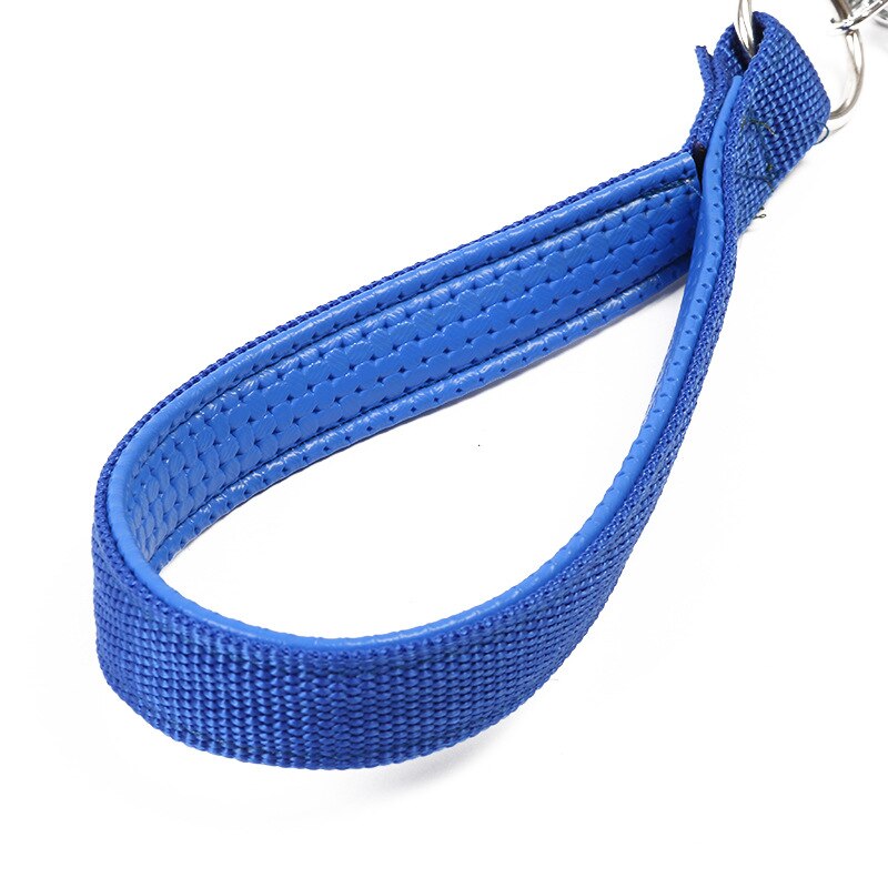 Medium / Large Dog Leash with Spring. 