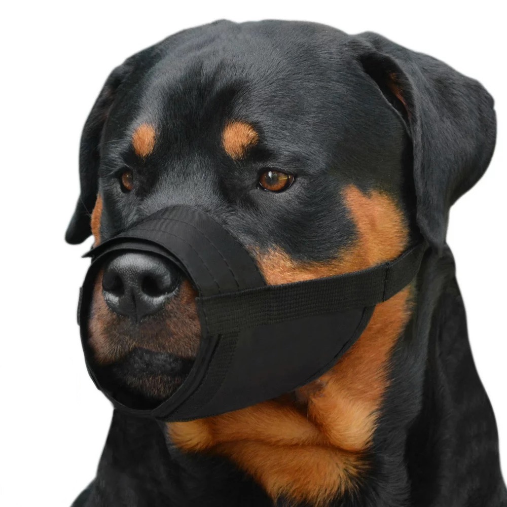 Does A Dog Muzzle Stop Barking