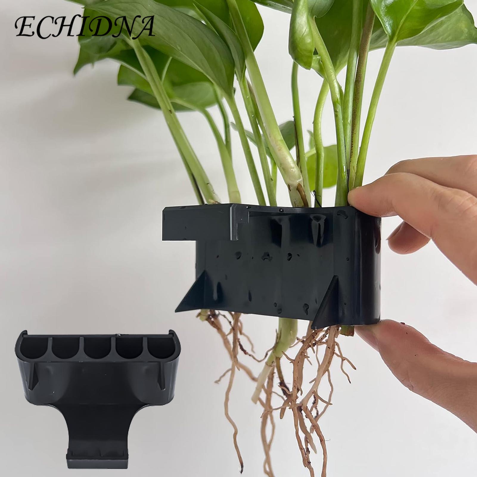 Hydroponic System for Aquarium Plants 5-hole Hydroponic Storage Rack for Aquaponic Cultivation Ideal Fish Tank Plant Supports Aquascape Decorations Hydroponic Storage Rack for Fish Tank. 