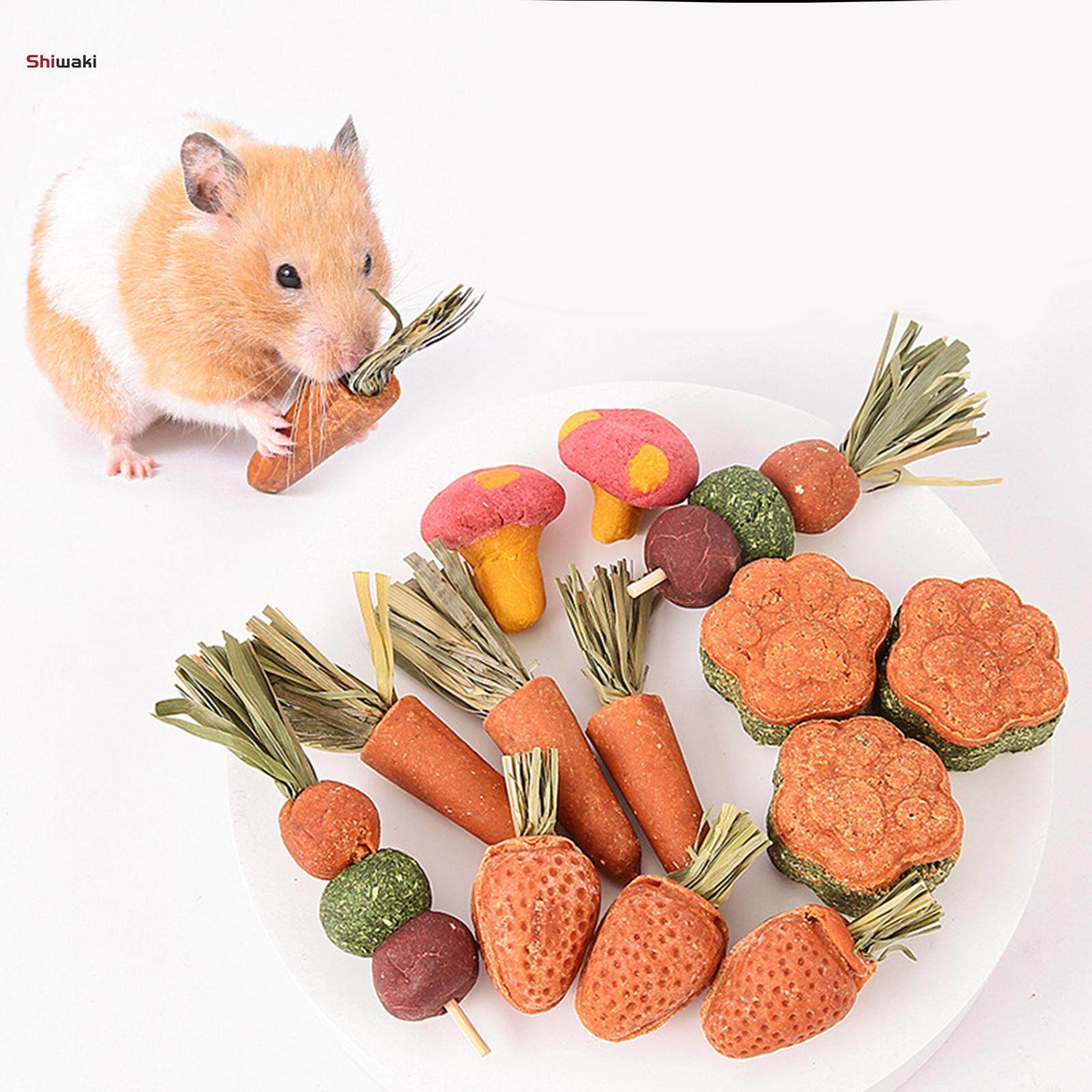 3x Hamste Chew Toys Pet Grinding Toys for Squirrels Candied Haws