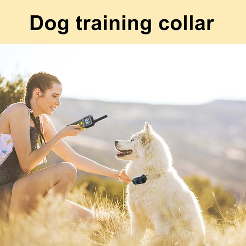 T10 Electric Dog Training Device Collar Wireless Remote Control LCD Display Waterproof USB Rechargeable with Flashlight - Black. 