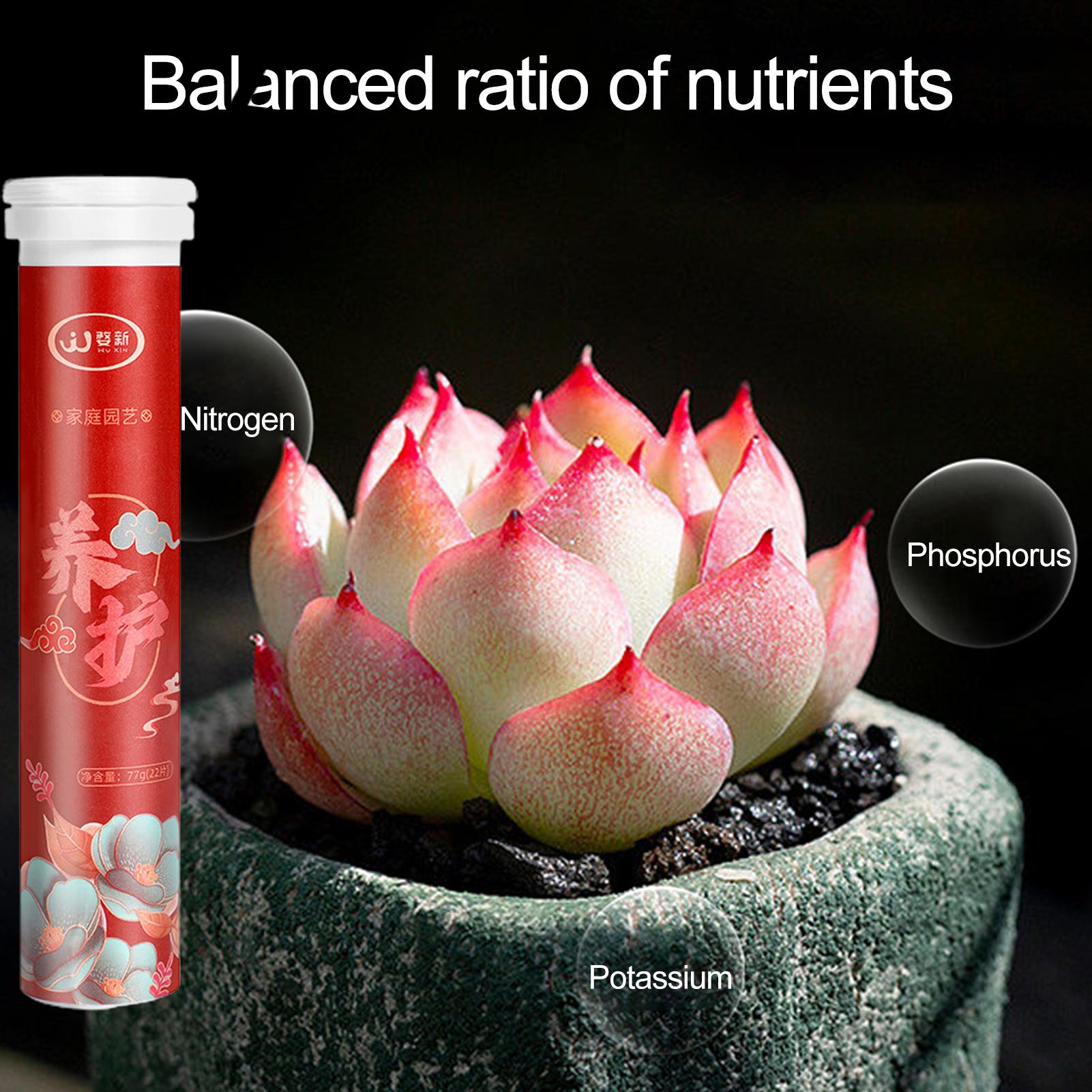 Plant Growth Booster 22pcs Phytonutrients Slow-release Balanced Nutrient Elements for Healthy Growth of Plants Fruits Vegetables Flowers Plant Fertilizer. 