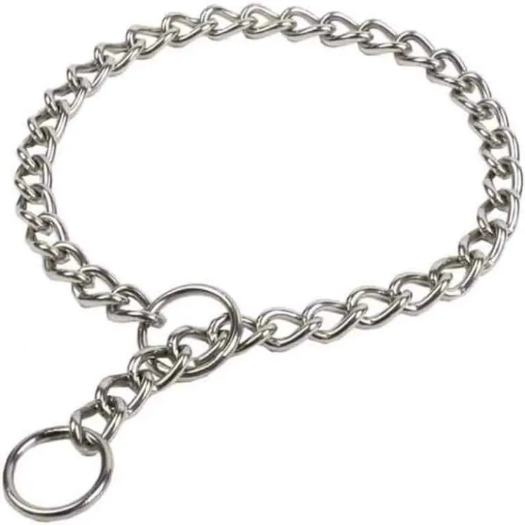 Silver dog hotsell chain collar