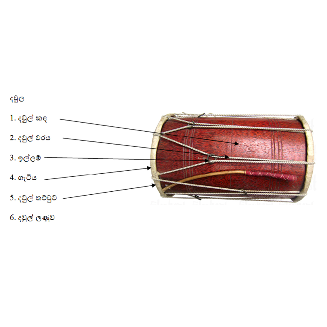 Traditional Daul beraya දවුල පොල්  Dawula drum Cultural Event Homede Party Celebration Drum 5 years warranty Sri Lanka daul Beraya Drum and Percussion. 