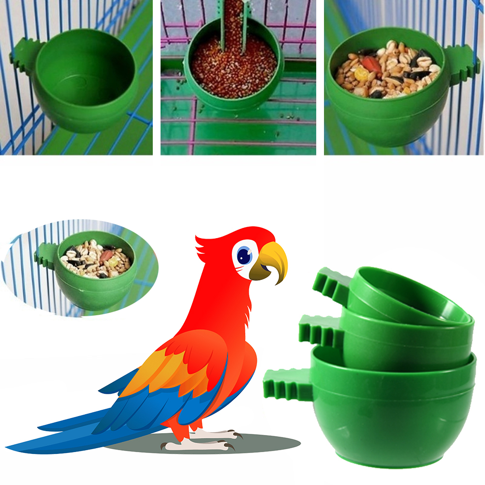 Pet bird feeding bowls best sale