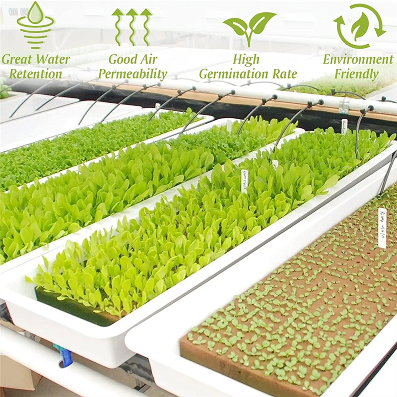 50Pcs Stoool Hydroponic Grow Media Starter Cubes Plant Cubes Soilless Substrate ed Rock Wool Plug ling Block. 