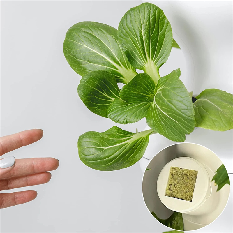 50Pcs Stoool Hydroponic Grow Media Starter Cubes Plant Cubes Soilless Substrate ed Rock Wool Plug ling Block. 
