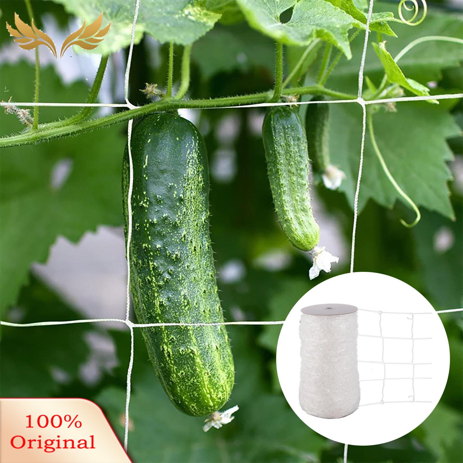 SuperRide Plant Support Net White Garden Plant Climbing Netting Roll Outdoor Mesh Support Trellis for Flowers Veggies Buyers' Favorite Sun-resistant Plant Netting. 