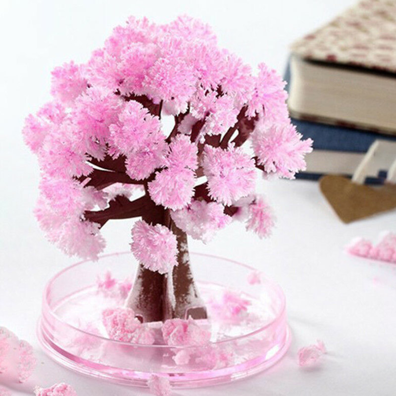 Growing Tree Paper Sakura Crystal Trees Desk Cherry Blossom Toys Xobw